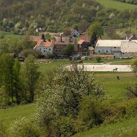 Ubytovani V Apartmanu, 2 Loznice, Na Farme Bzany Luaran gambar